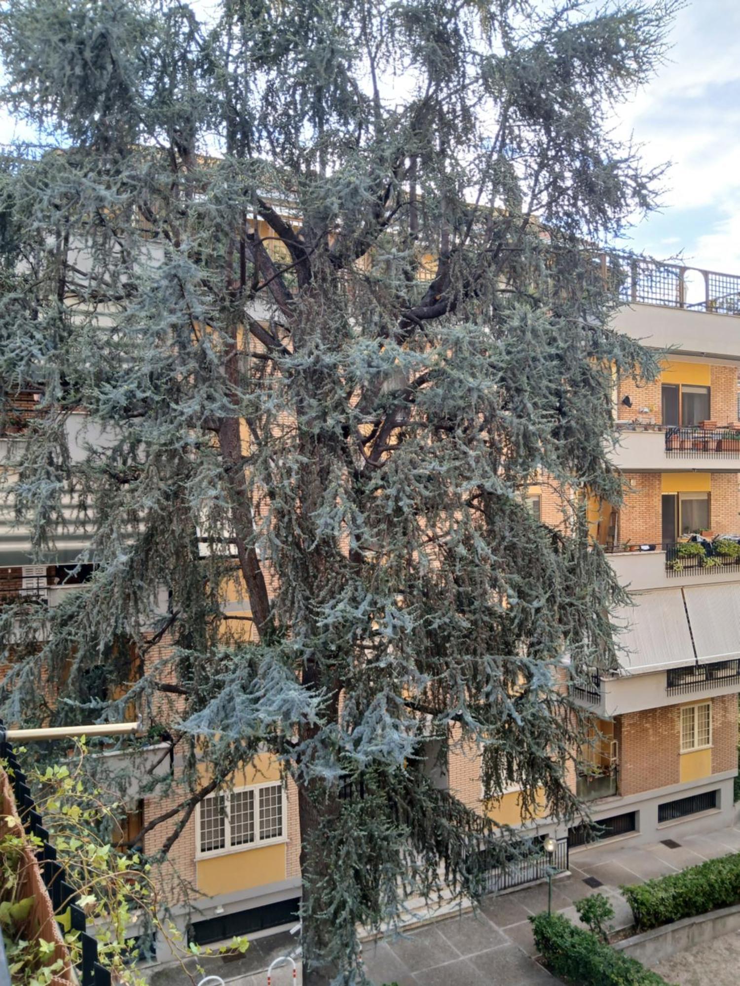 La Casa Di Antonella E Giuseppe Apartment โรม ภายนอก รูปภาพ