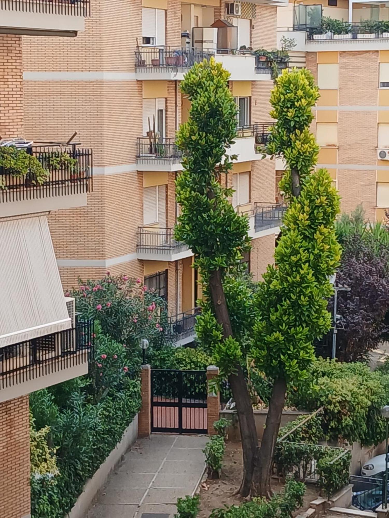 La Casa Di Antonella E Giuseppe Apartment โรม ภายนอก รูปภาพ